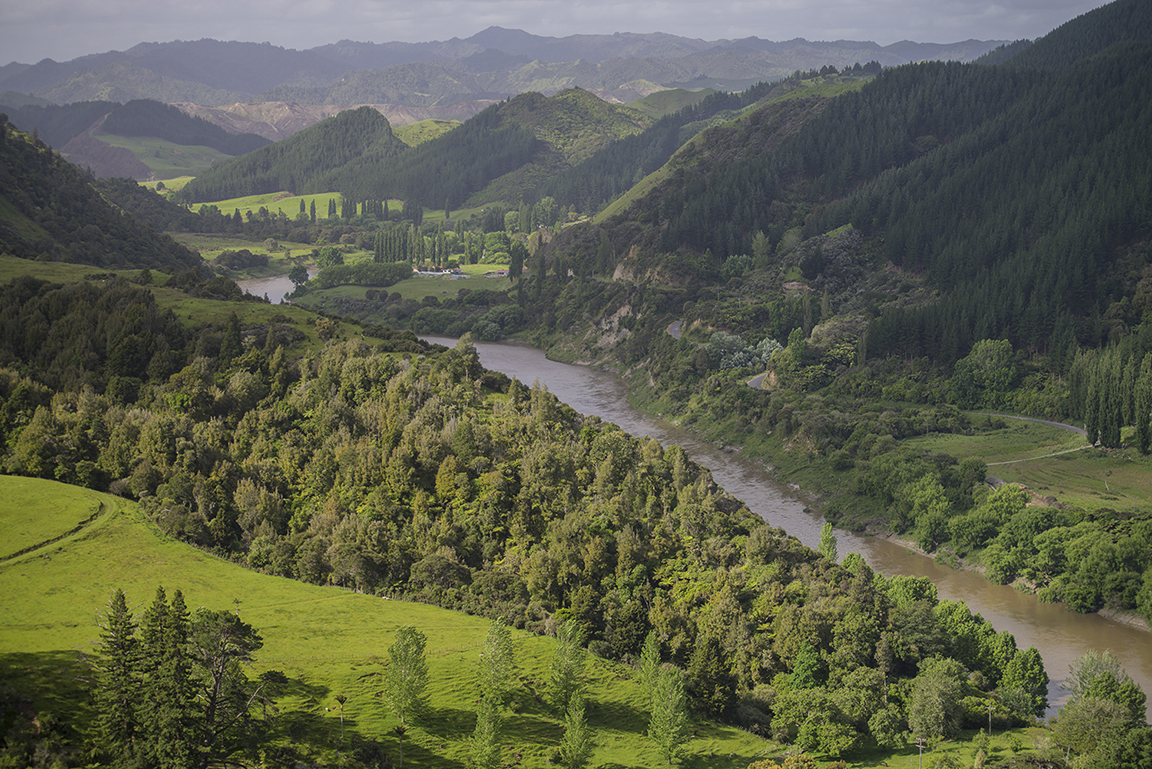 Whanganui River Valley in Whanganui National Park