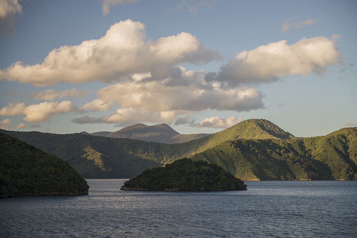 View from the ferry in Queen Charlotte Sound