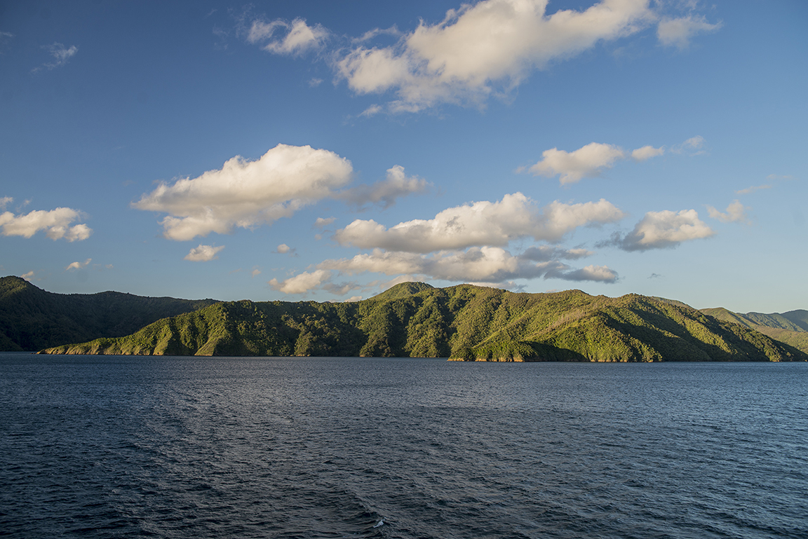 View from the ferry in Queen Charlotte Sound
