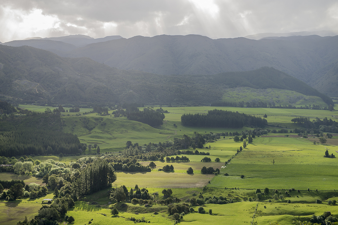 Late afternoon in the Takaka Valley