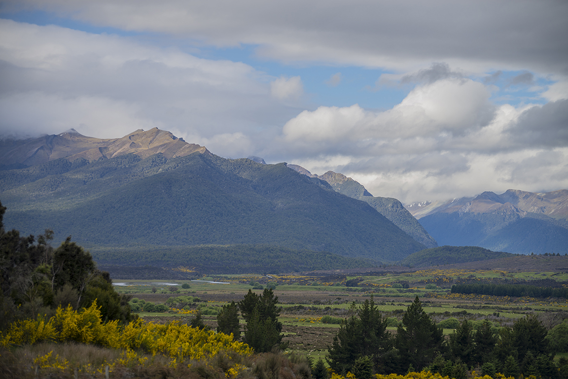 View from the Mlford Road near Te Anu