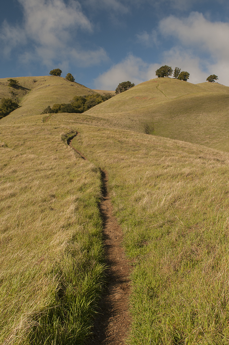 Stacks Image 140