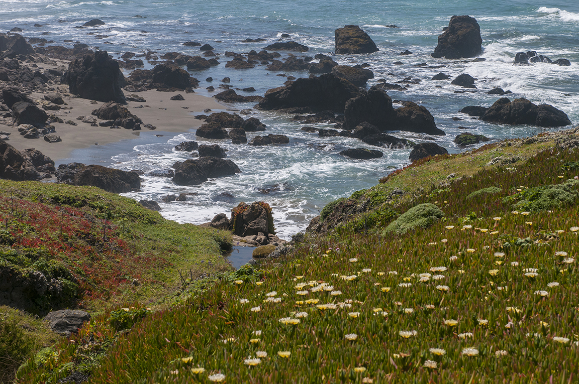 Stacks Image 30