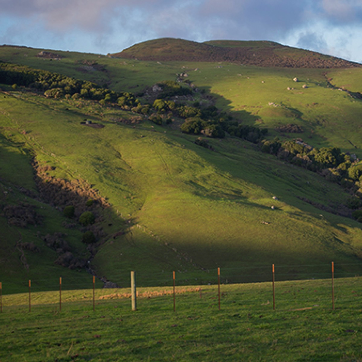 Stacks Image 50