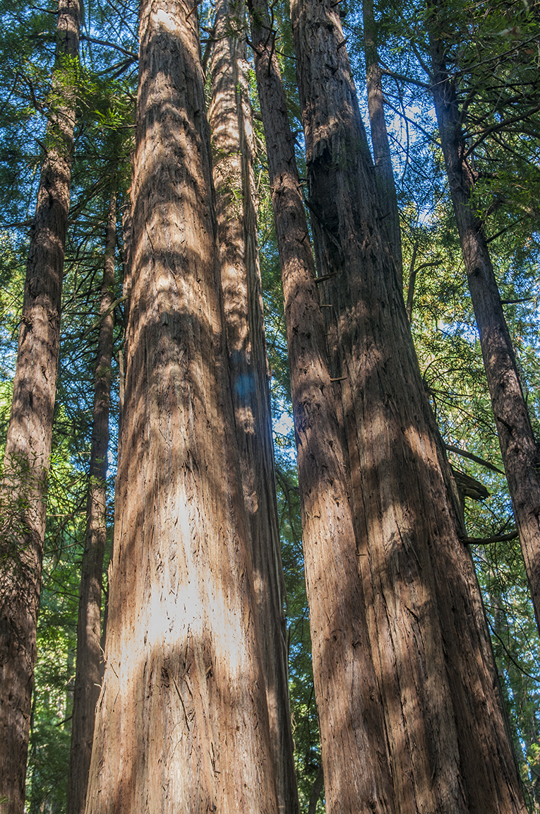 Stacks Image 56