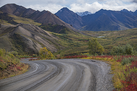 Denali Park Road