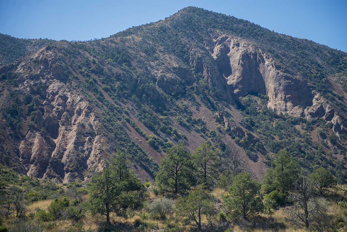 View of the Chisos Mountains