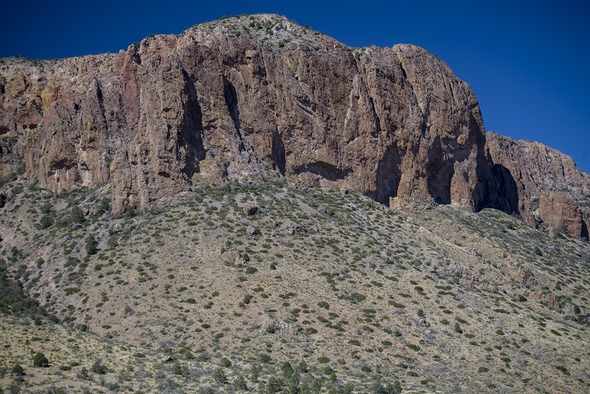 View of the Chisos Mountains