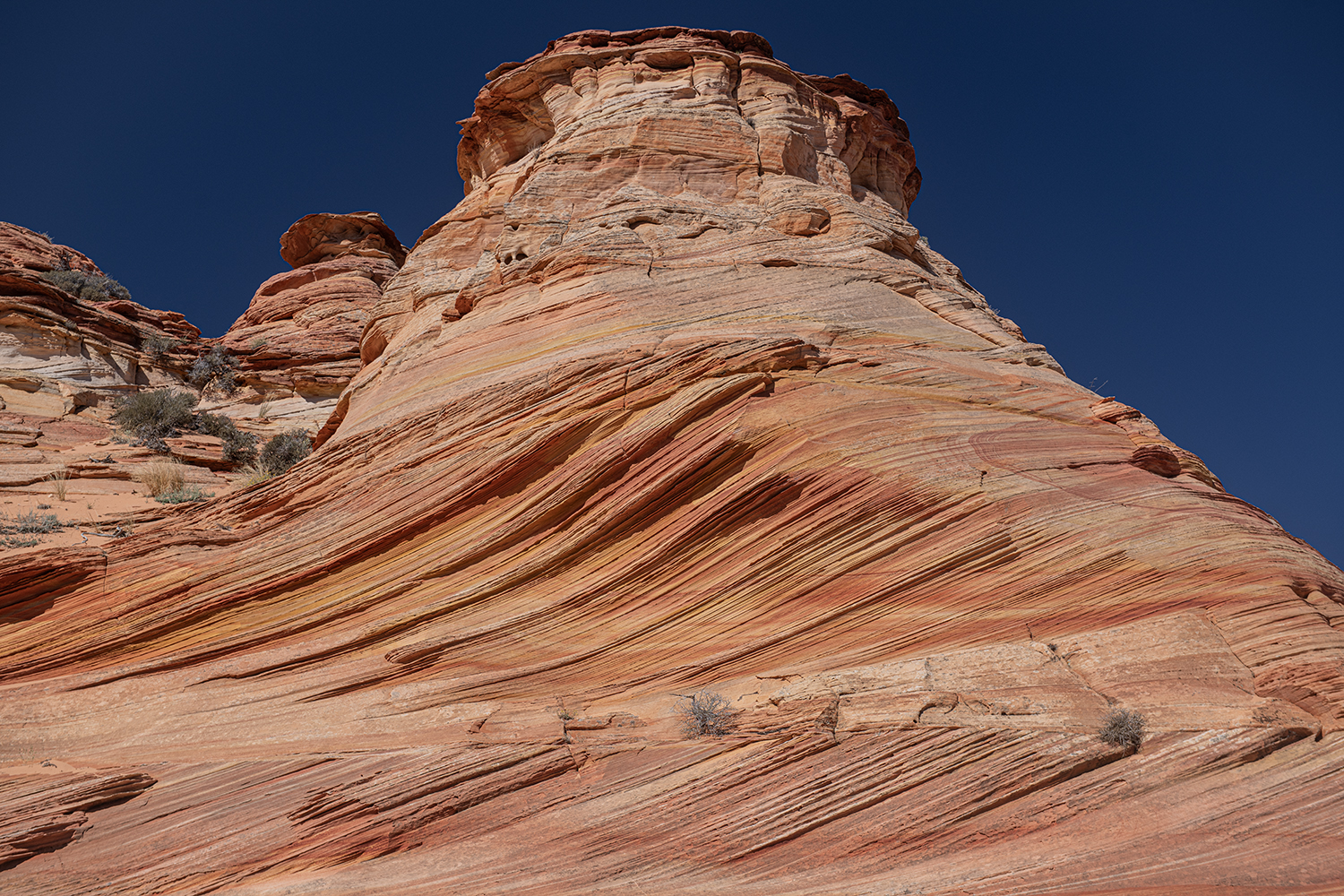 South Coyote Buttes