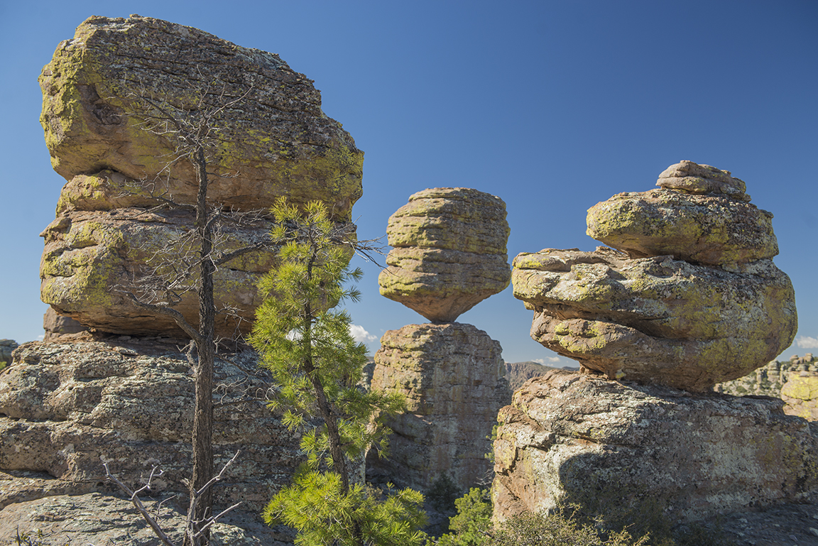 View from the Balanced Rock Trail