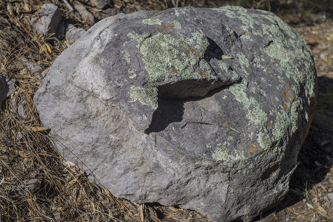 Stopping on the Heart of Rocks Trail