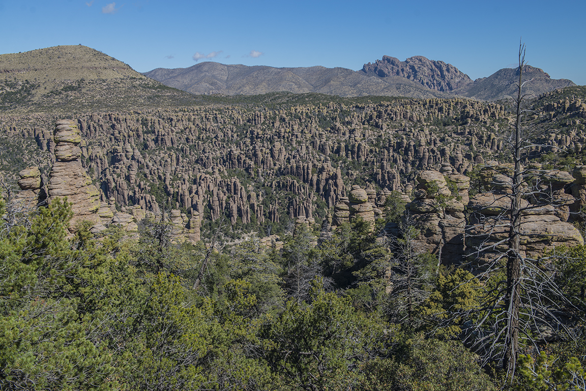 View from the Balanced Rock Trail