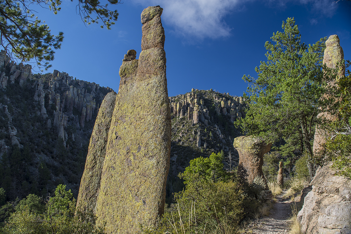 Morning light on the Ed Riggs Trail