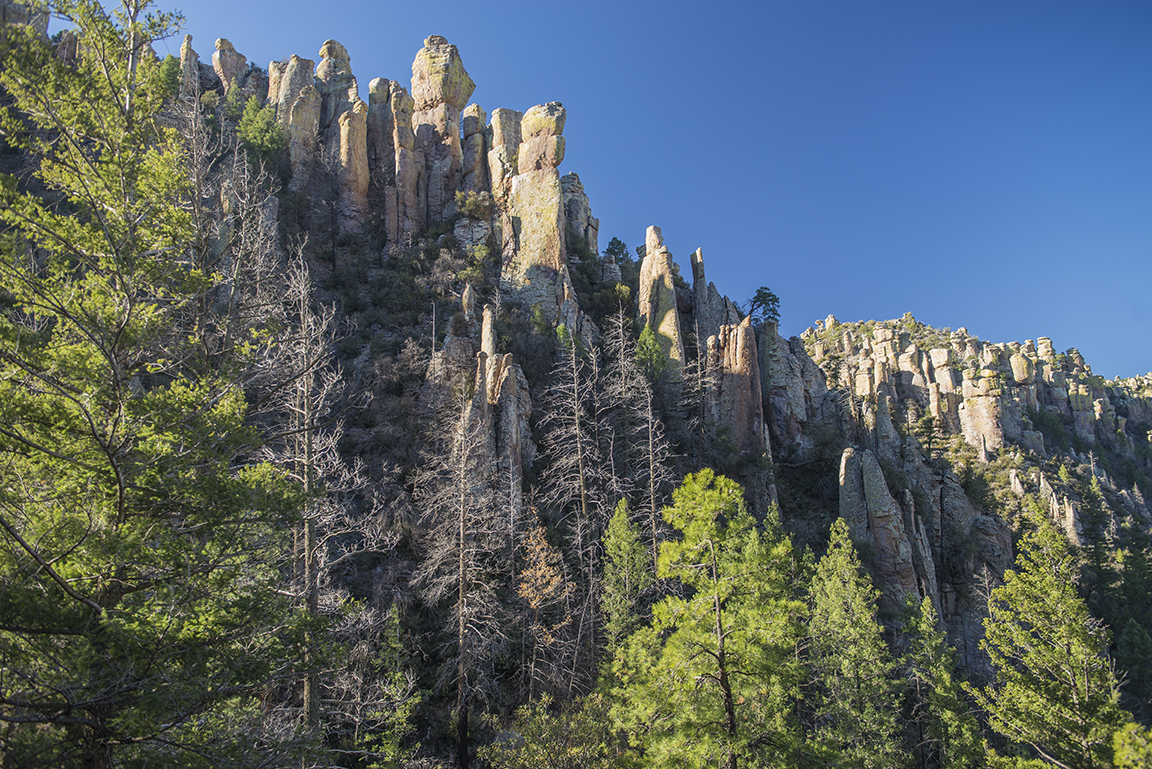 Morning light views on the Ed Riggs Trail