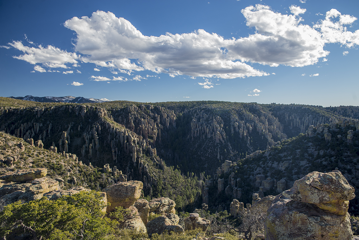 Afternoon view from Massai Point