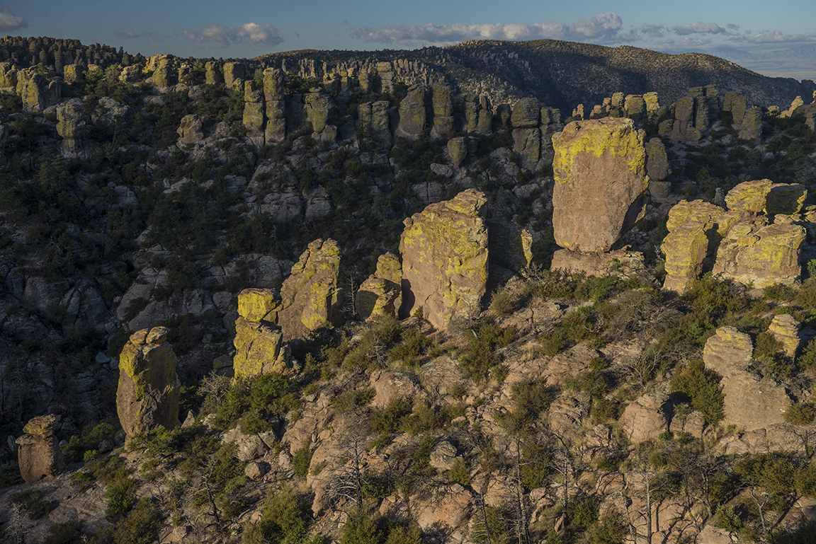 Morning light at Massai Point