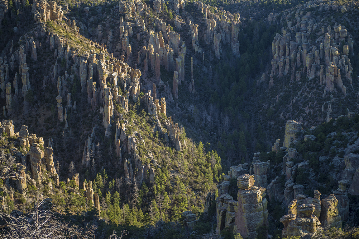 View of the canyon from Massai Point