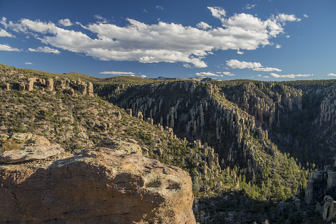 Afternoon view at Massai Point