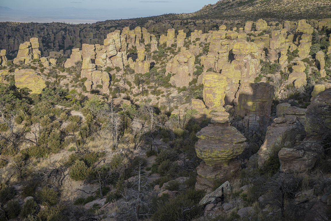 Morning view from Massai Point