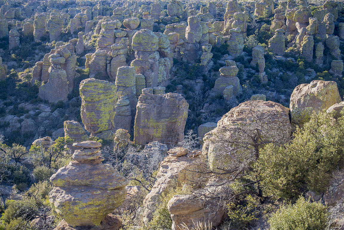 View from Massai Point