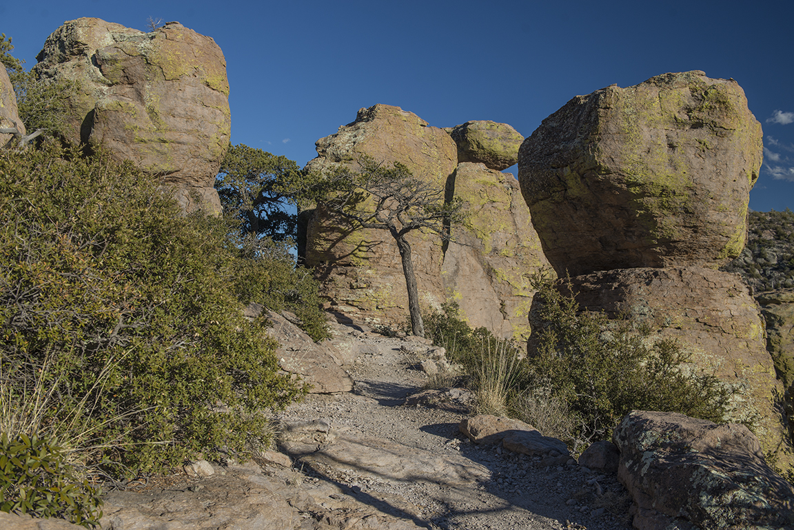 On the trail at Massai Point