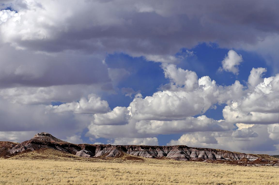 Stacks Image 47