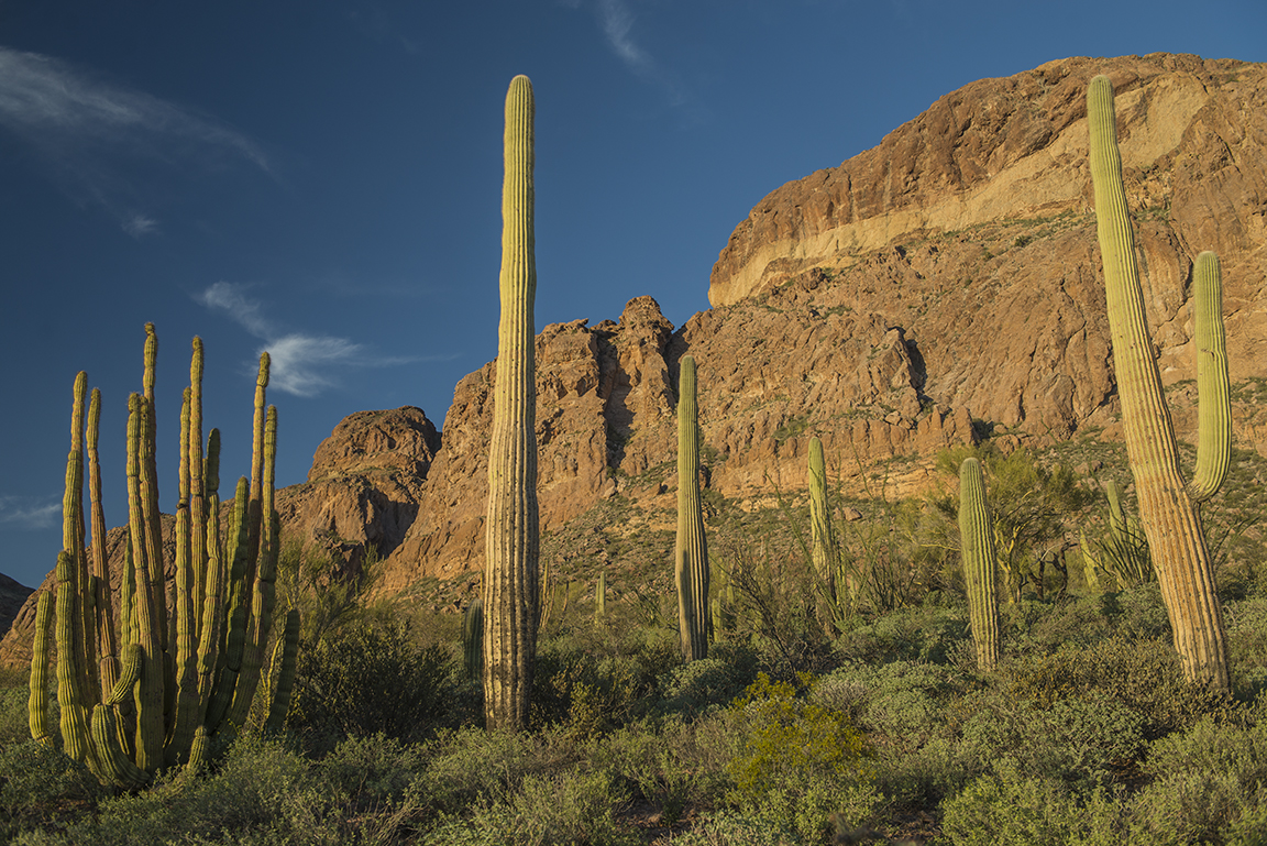 Stacks Image 60