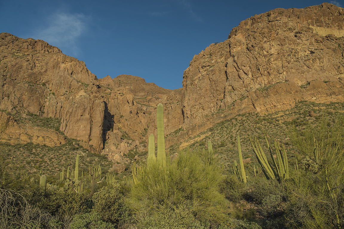 Stacks Image 50