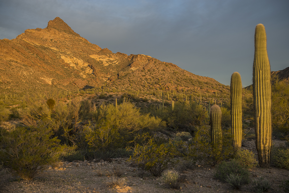 Stacks Image 16