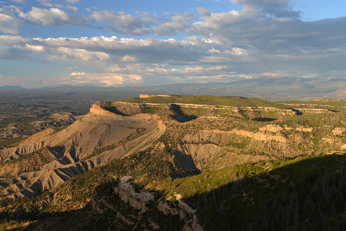 Stacks Image 16