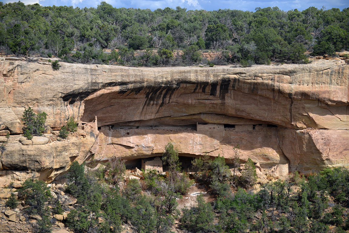 Stacks Image 60