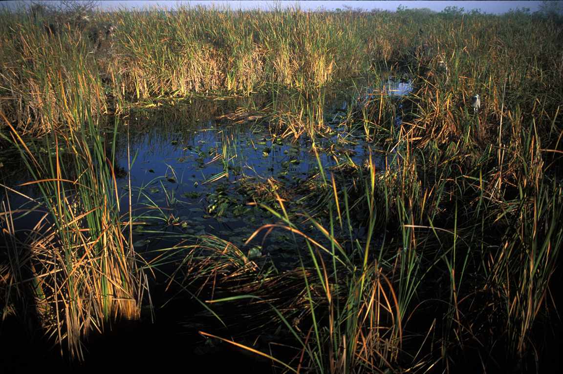 Stacks Image 10