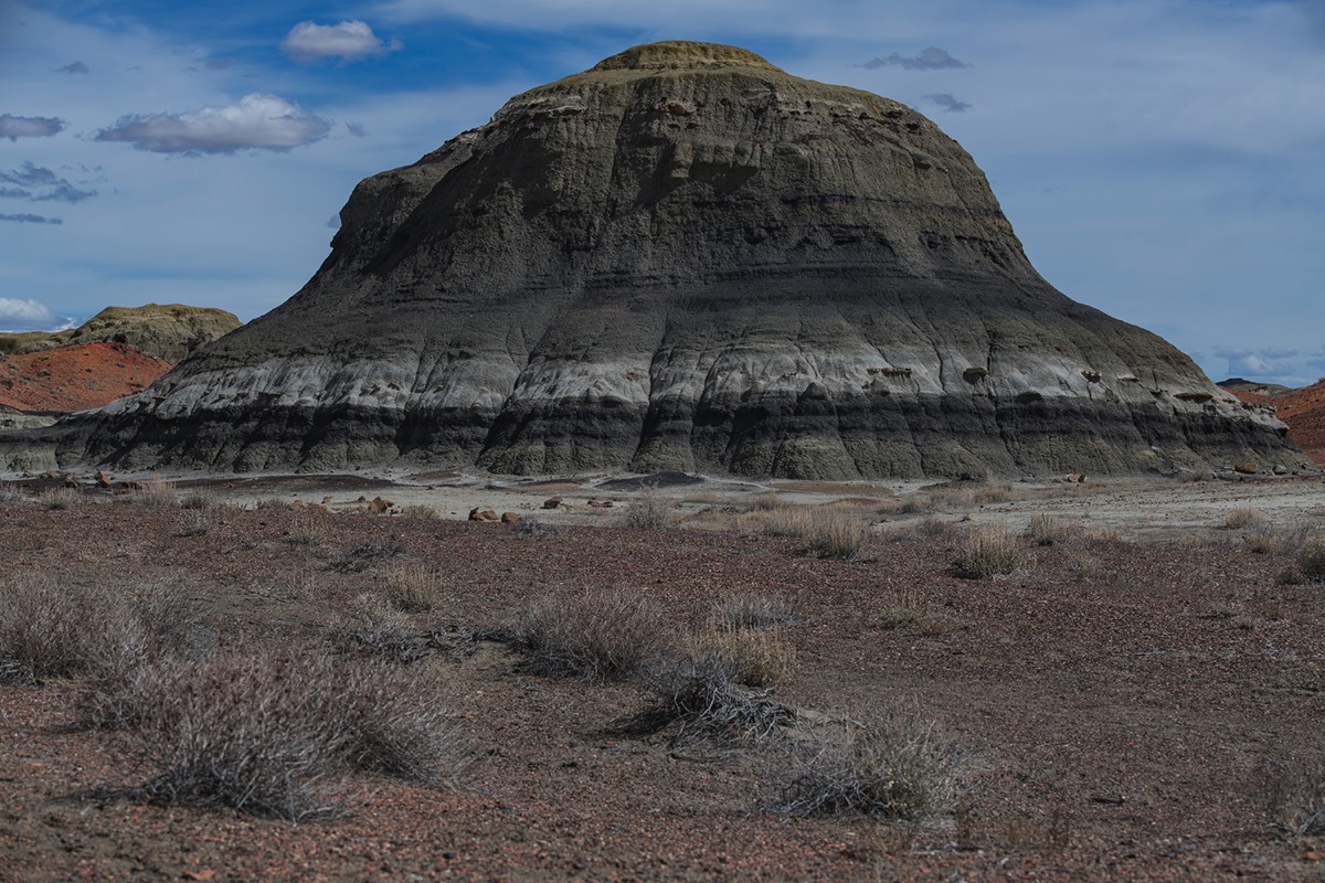 Stacks Image 167