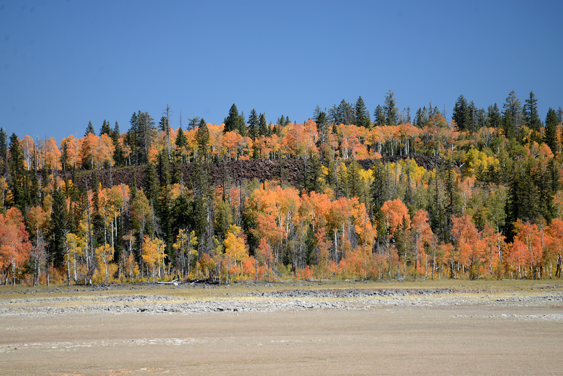 Stacks Image 65