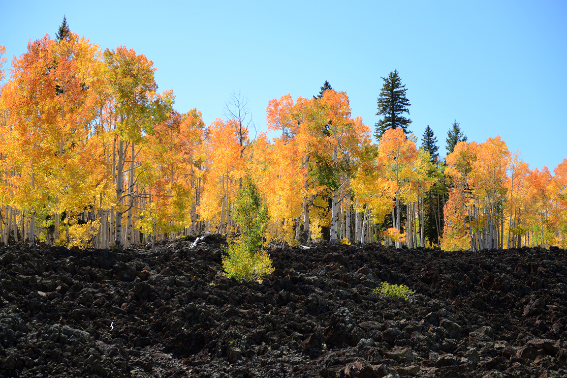 Stacks Image 73