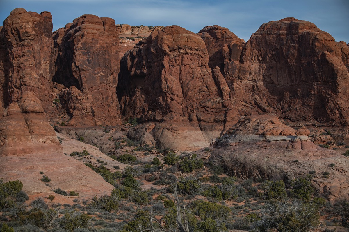 Stacks Image 70