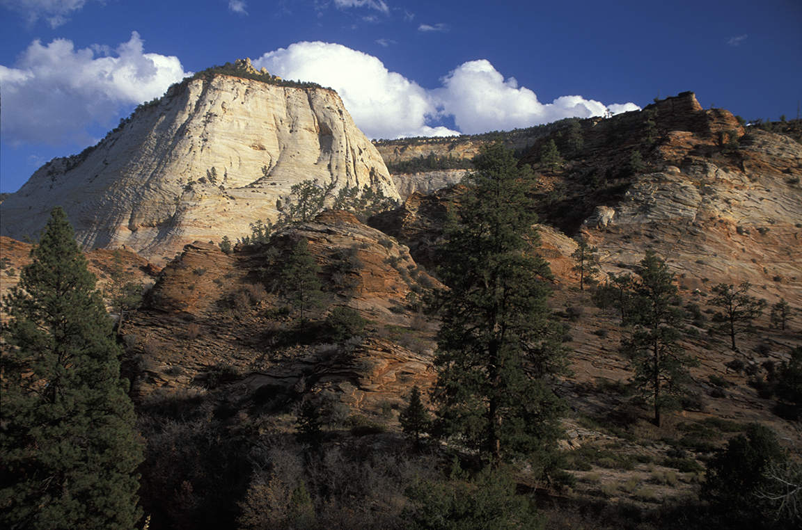 Stacks Image 30