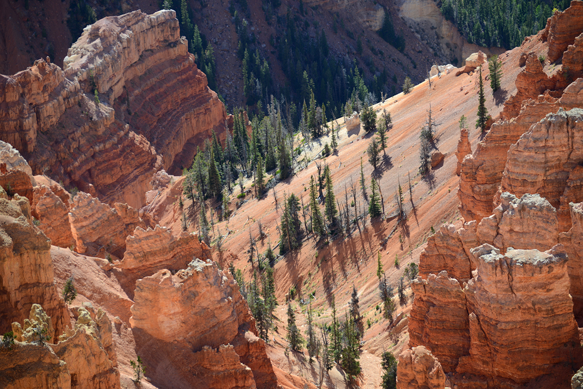 Stacks Image 50