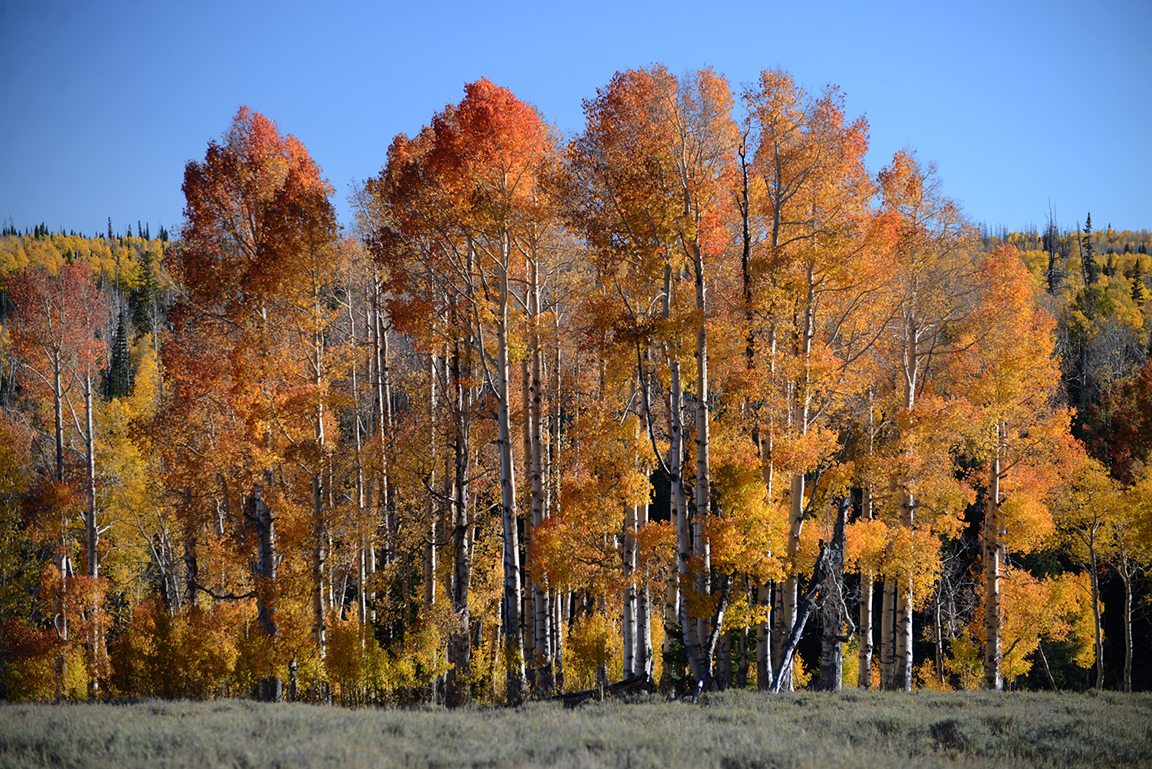 Stacks Image 74