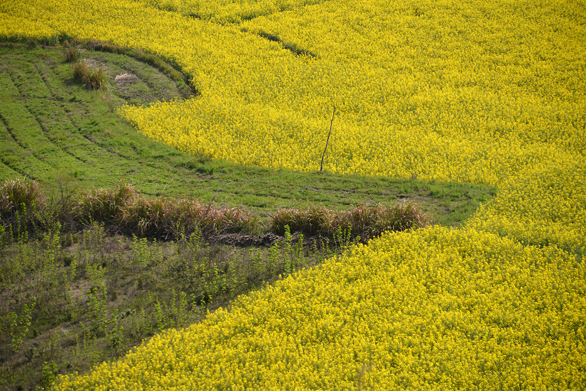 Stacks Image 799