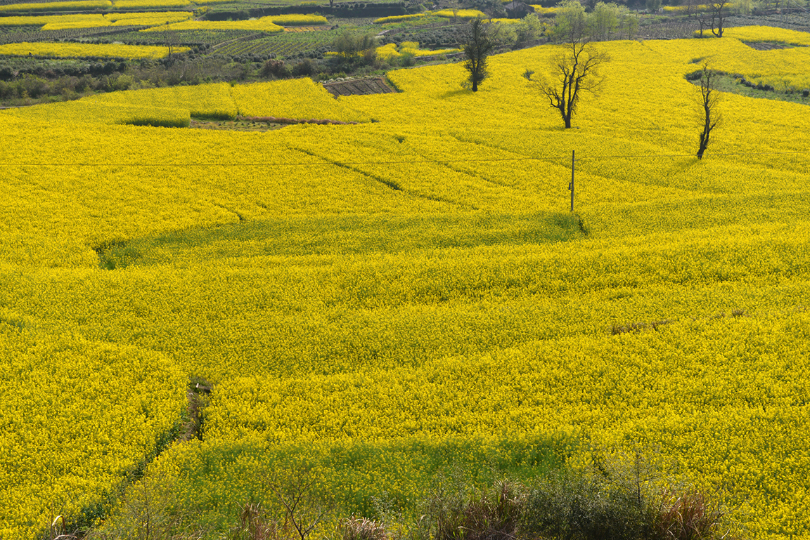 Stacks Image 819