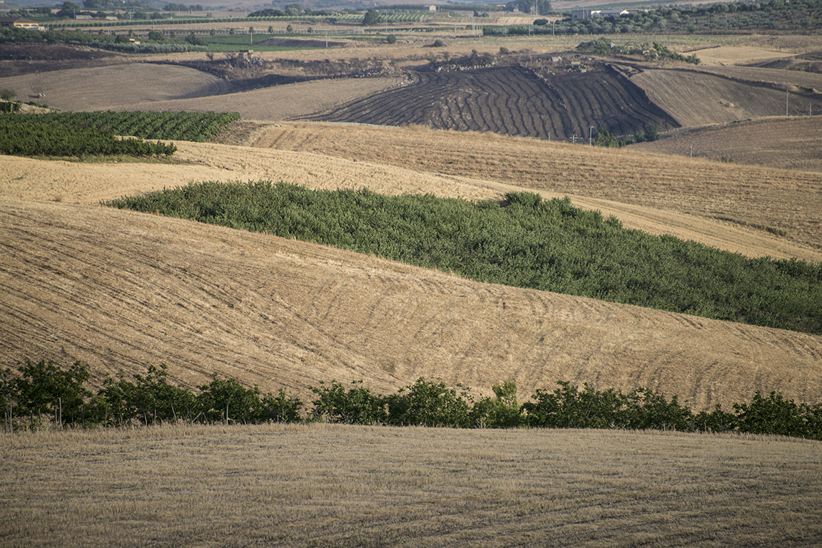 Countryside near Agrigento