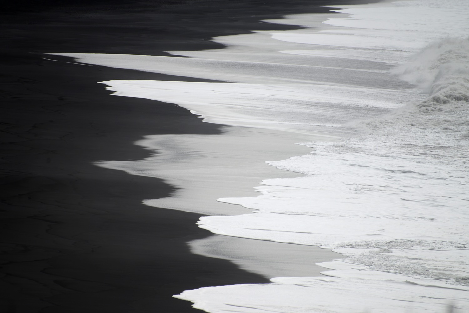 Spring 2025 Grayscale