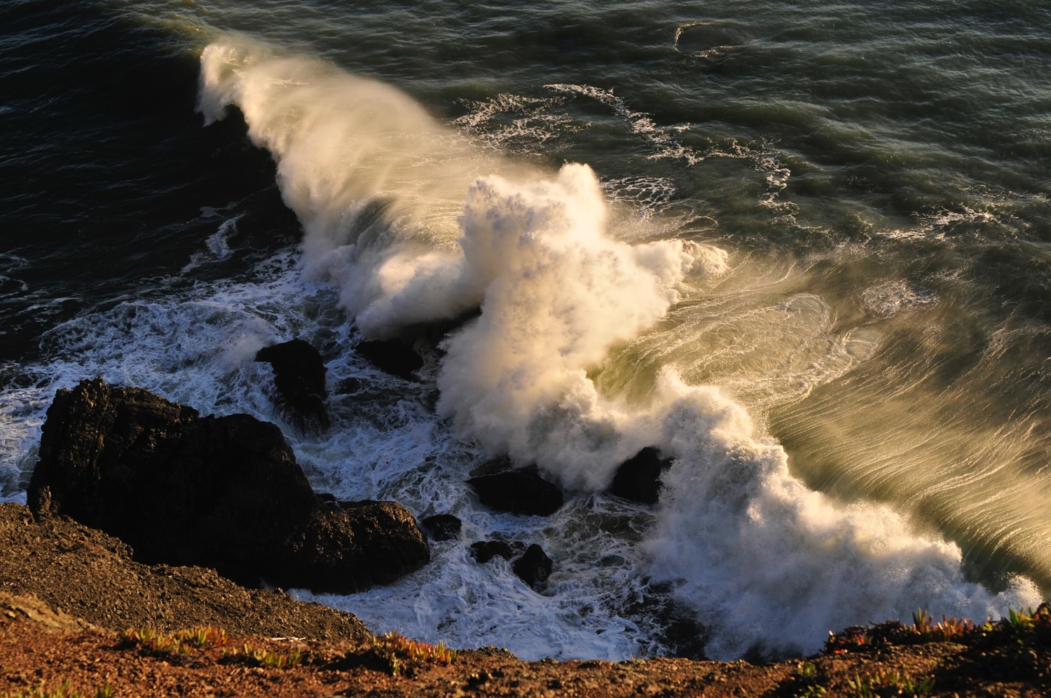 Fall Studios_DSC7206