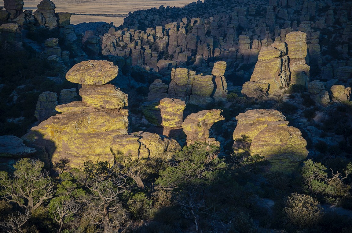 ChiricahuaExMWRDSC_2323