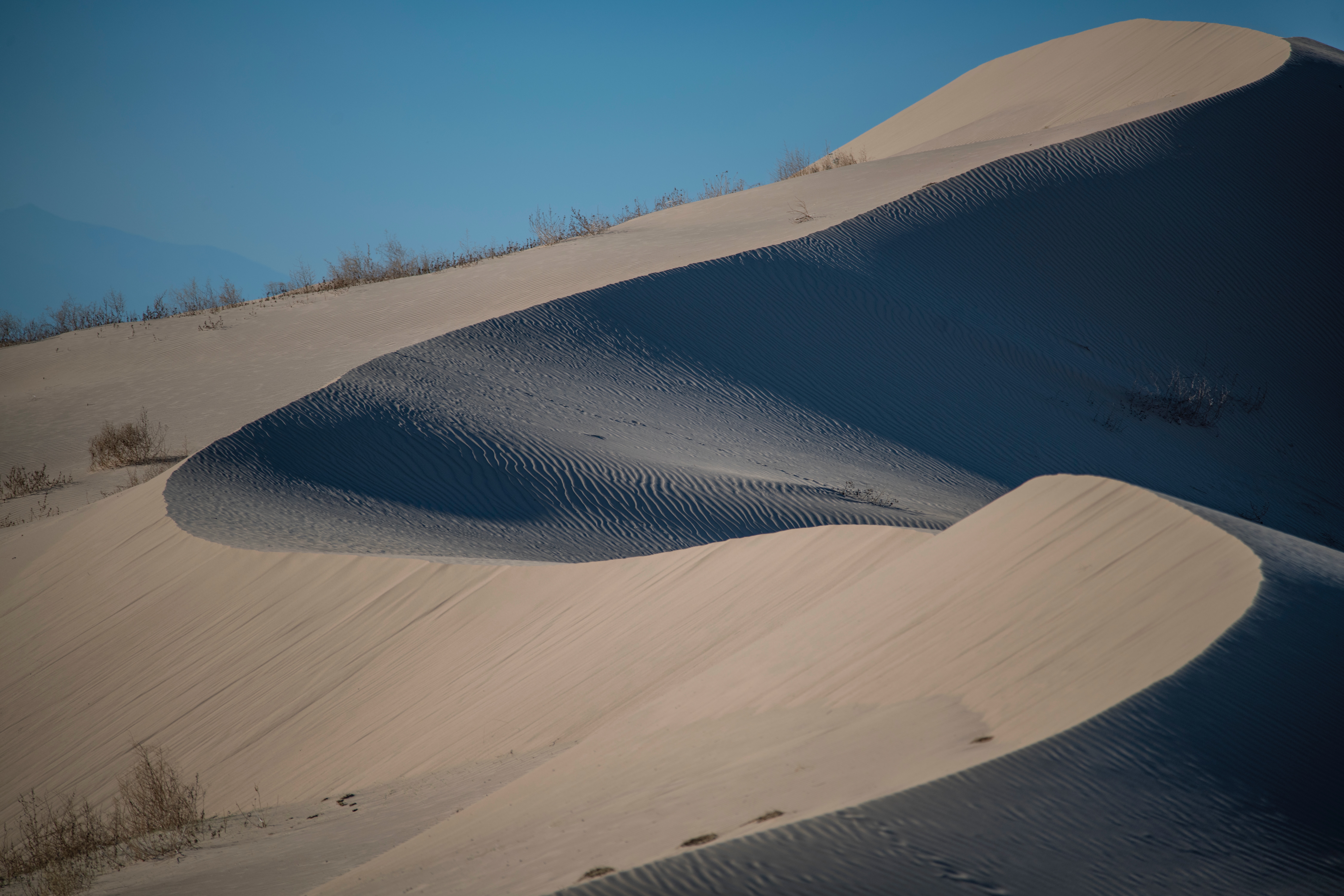 Imperial DSC_1825 Fall OS 2021