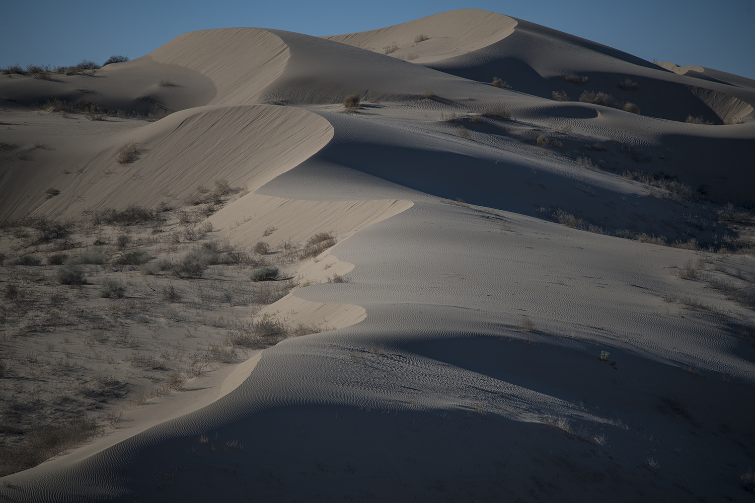 Imperial Sand Dunes