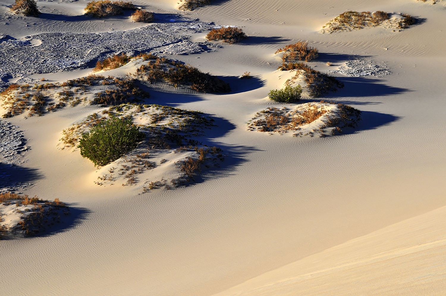 MWRMesquite Dunes 62224