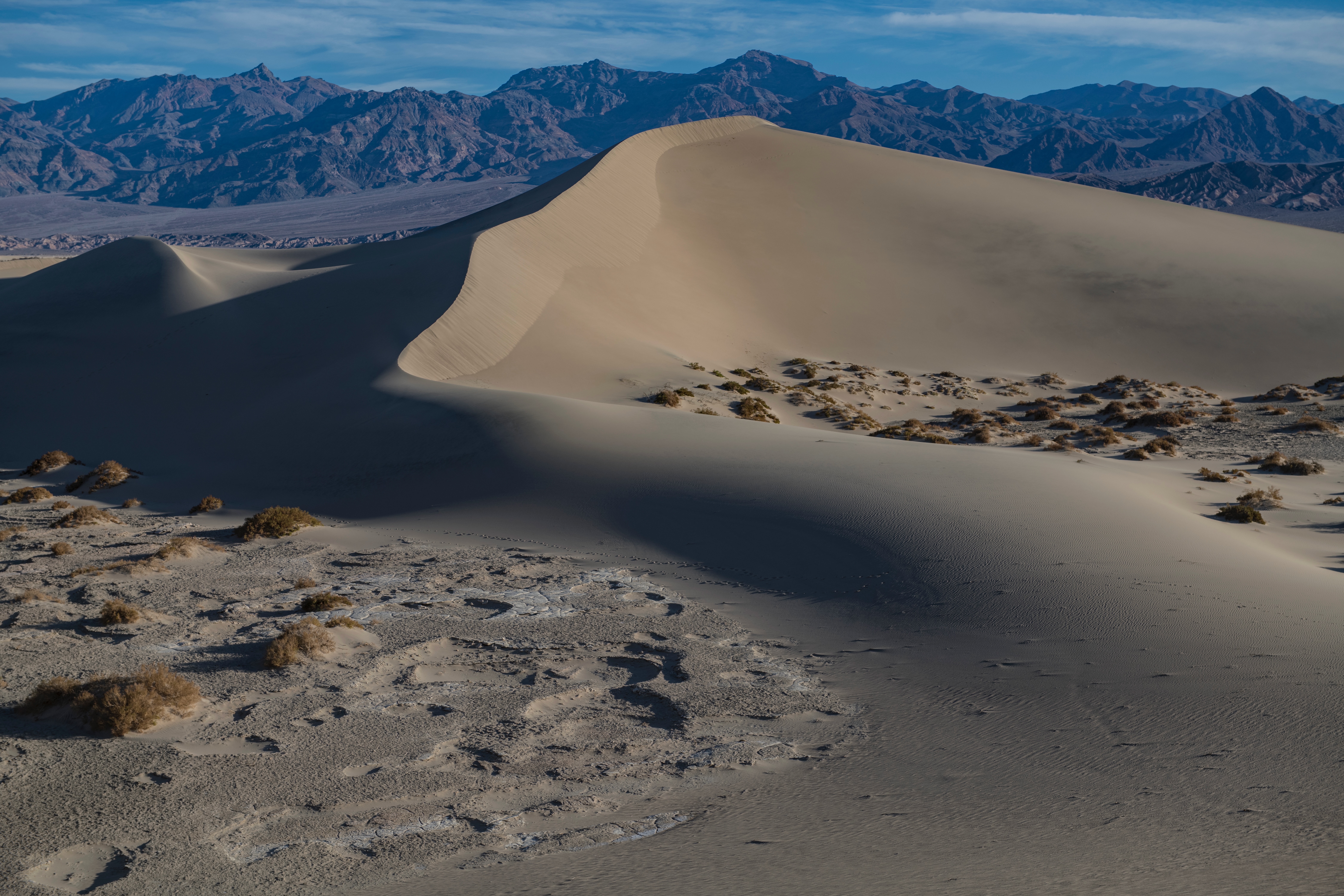 Mesquite DSC_0388 Fall OS 2021