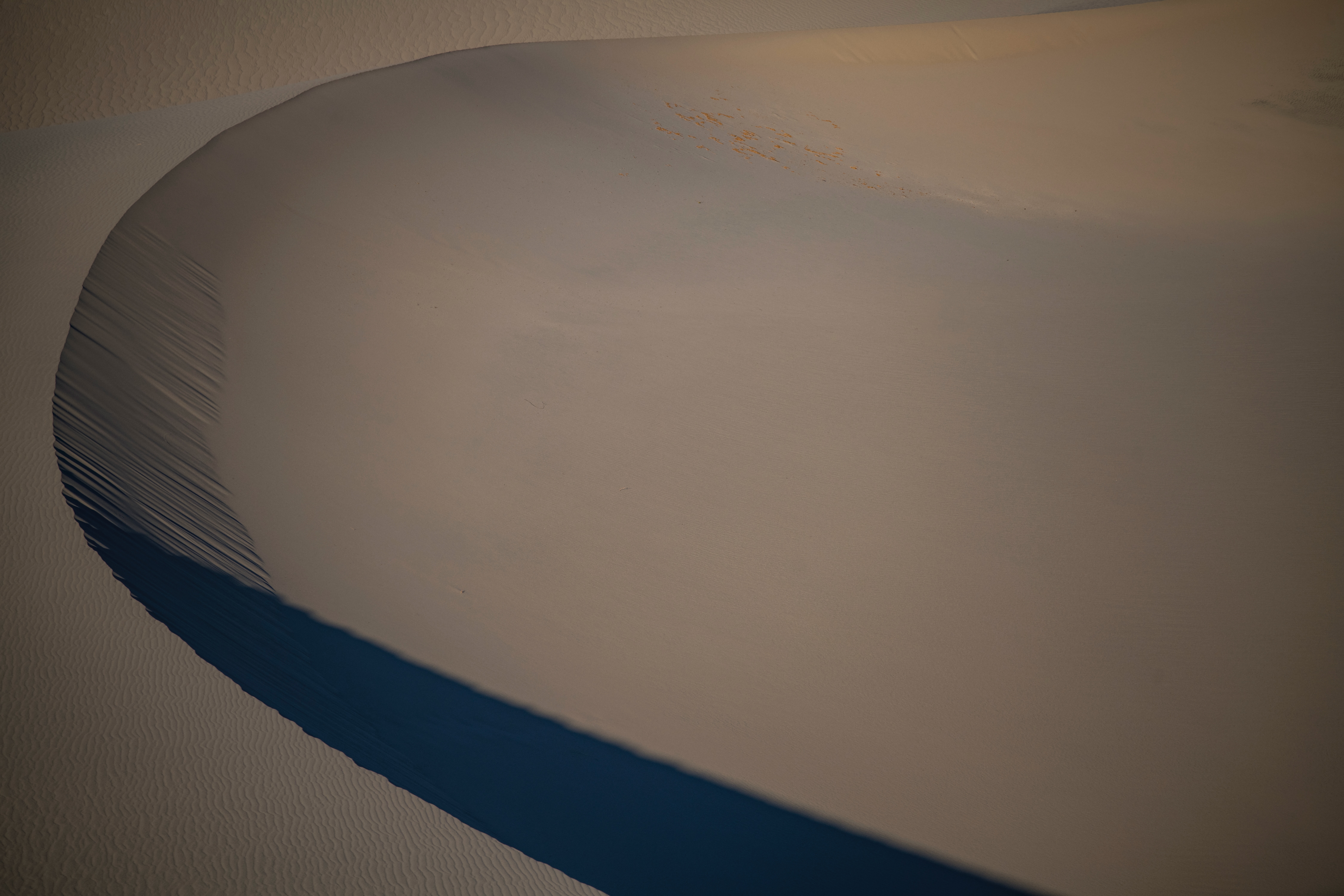 Mesquite DSC_9926 Fall OS 2021